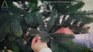 Royal Christmas - Kunstkerstboom Hawaii Nordmann Deluxe 100% PE - 42210