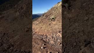 ON THE CLIMB!!! #coconinonationalforest #nature #freshair #mountains #hikingaddict #exercise #views