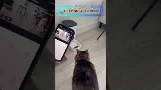  Best Smart Video Pet Feeder on the market  #petfeeder #petaccessories  #petsupplies #petfood
