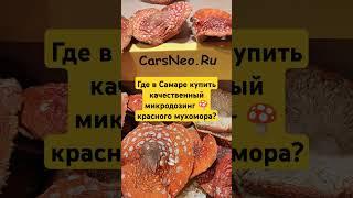 Где в Самаре купить качественный микродозинг  красного мухомора? #микродозингмухомора #ежовик