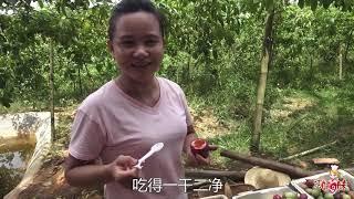 【巧婦9妹】吃百香果巧婦9妹有訣竅，用手360度轉一圈，掀開果蓋大口就吃！