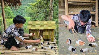 The wandering boy caught two mice and made a cage to keep them in - Ly Dinh Quang