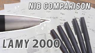 Lamy 2000 Nib Comparison