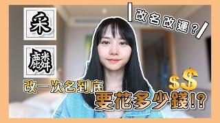 【生活Vlog】改名一次到底要花多少錢？改名流程很複雜？｜采紅麟 Tsai Lin's Daily