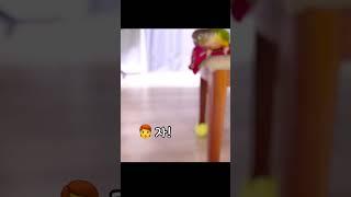 질문에 똑부러지게 대답하는 앵무새!?ㅋㅋ귀여워️#shorts
