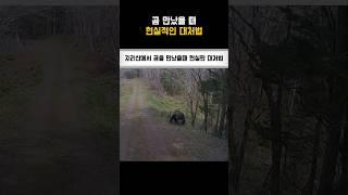 지리산에서 곰을 만났을때 대처법