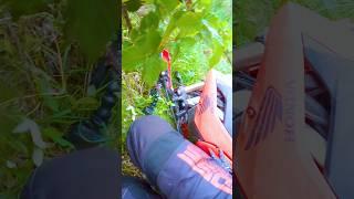 Honda CRF 300L Crash  #shorts