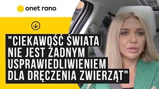 "Ciekawość świata nie jest żadnym usprawiedliwieniem dla dręczenia zwierząt"