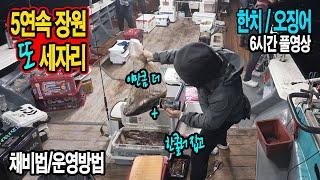 5번연속장원)또 세자리 한치 오징어 낚시 운영법 채비법