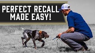 How To Keep Your Dog From Running Away From You - Ecollar Training