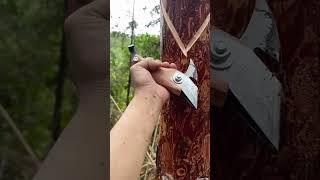Super useful Laixing knife, scrape the bark to make the rubber tree flow out glue