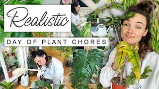 A Realistic + Imperfect Day Of Plant Chores  Do Houseplant Chores With Me