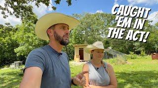 They're DESTROYING our property!