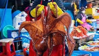 주문진항 달인의 바다문어 손질 Octopus / Korean street food