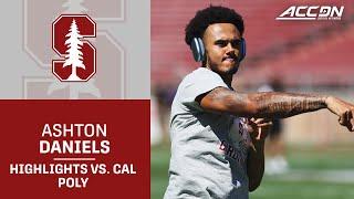 Stanford's Ashton Daniels Leads The Cardinal To The Win