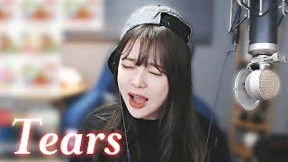 고음 끝판왕ㄷㄷ 스트레스 쌓였을 때 노래방에서 한번쯤은 질러봤을 노래 소찬휘-Tearsㅣcover song