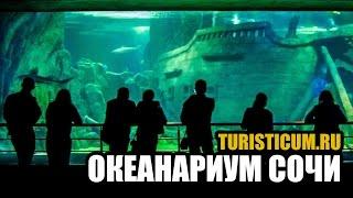 Океанариум Сочи — Sochi Discovery World Aquarium. Адлер.