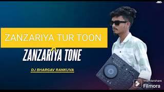 ZANZARIYA TUR TOON  | DJ BHARGAV RANKUVA 2024 | NEW TIMLI 2024 | NEW 2024 DJ | HINDI