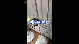山崎実業便利アイテム！ビカクシダをハンキング🫎
