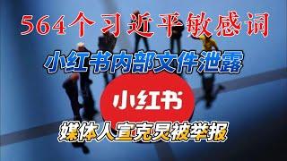 两个月新增564个习近平敏感词，小红书内部审查文件泄露（附链接）；宣克炅一首小诗被举报意有所指