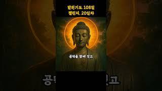 이제 20일.한 걸음 한 걸음이 모여 큰 인연을 만듭니다.구독과 좋아요를 눌러 공덕을 함께 짓고 댓글에 소원을 올려보세요.부처님께서 이끄실 것입니다.#명언 #무설스님 #지혜