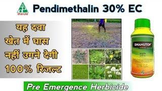 पेंडिमेथैलीन 30% EC I PRE EMERGENCE HERBICIDE I कब क्यों केसे #agriculture I #farming I #insideragri