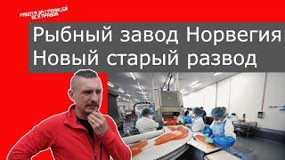 Рыбный завод в Норвегии, старая новая разводка.