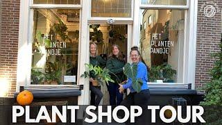 Rare aroids in a SHOP?? Plant Shop Tour | Plant with Roos