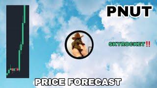 PNUT COIN PRICE SKYROCKET UPDATE IN 2024‼️ PEANUT THE SQUIRREL PRICE FORECAST THIS APPROVAL TO MOON