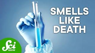 The 5 Most Dangerous Chemicals on Earth