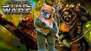 TOP 7 Interesting Facts About EWOKS