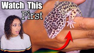 Leopard Gecko Tips For Beginners