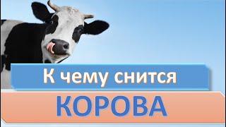 К чему снится КОРОВА (ТЕЛЕНОК) | СОННИК