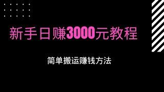 2021网赚，分享网上赚钱项目，教新手赚钱，分享一个日赚3000元的简单赚钱方法，通过搬运赚钱