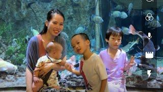 Exciting trip of police officer Du and Ly Tieu Hau with her children. The love story begins