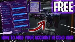 How to Mod your account on Cold War for FREE! Fast and Easy