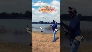 Live Attack Snakehead Fish Hooking