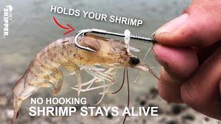 GENIUS OR GARBAGE? Specialty Live Shrimp Holder Hooks!