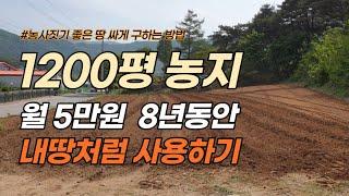 귀농귀촌 농지임대방법 농지은행 임대료 농사짓기 좋은 땅 싸게 구하는 방법