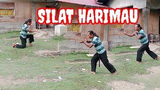 SILAT HARIMAU