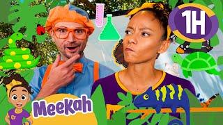 Science and Animal Scavenger Hunt | Educational Videos for Kids | Blippi and Meekah Kids TV