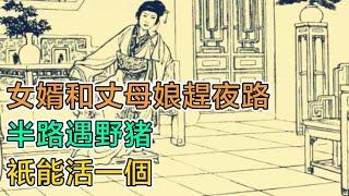 民間故事：女婿和丈母娘趕夜路，半路遇野豬：只能活一個