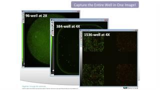 3D Imaging of Cancer Spheroids