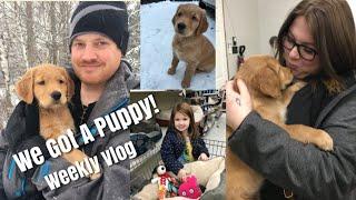 Golden Retriever Puppy! Snow Day Prep! Weekly Vlog #13