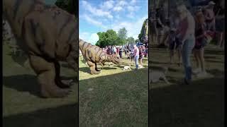 Who’s faster a baby or T rex? #dinomania