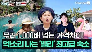 가격 차이가 1,000배나 된다고?!?! 가성비 숙소라고 무시하지 마라! | 발리  | 126회 | #다시갈지도