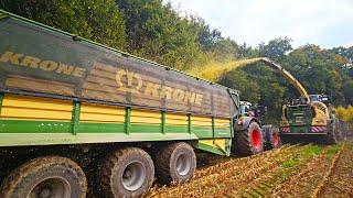 Best BIG X 1180 Krone Maispower 2024 mit Fendt Teamwork Vario 936 + Fendt 820 TMS & Fendt 926 Vario