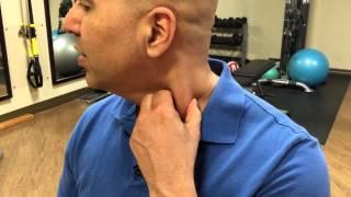 How to self-treat sternocleidomastoid muscle trigger points - trigger point release