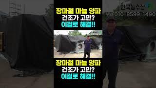 [한국농수산TV] 장마철 마늘 양파 건조고민? 차압식 건조기로 고민 해결
