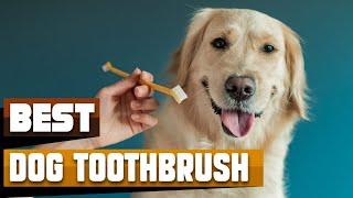 Dog Toothbrush : Which are the Best Dog Toothbrushes in 2024?